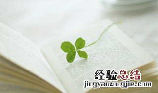心灵至福是什么意思 心灵至福的意思
