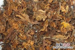 闹羊花 闹羊花图片大全
