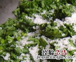 芥菜丝腌制方法 芥菜丝腌制方法视频