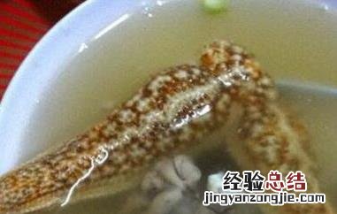 海星怎么煲汤 海星怎么煲汤怎么吃?