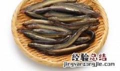 梦见很多泥鳅是什么意思 孕妇梦见很多泥鳅是什么意思