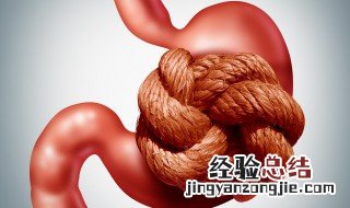 胃脘是什么意思 胃脘的解释