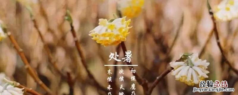 处暑吉祥语 小暑吉祥语