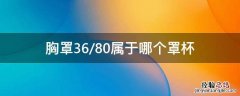 胸罩36/80属于哪个罩杯 女生胸围36/80是什么罩杯