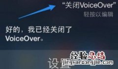 voiceover怎么强制关闭 最简单的方法