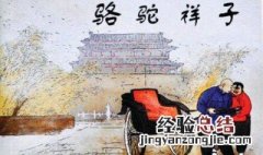 骆驼祥子读书笔记 了解一下