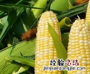 哪些人不能吃玉米糊 哪些人不能吃玉米