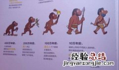人类简史三部曲是哪三部 人类简史 三部曲