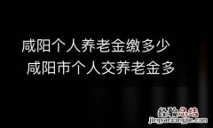 咸阳个人养老金缴多少 咸阳市个人交养老金多钱
