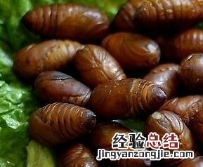 蚕蛹怎么吃法 蚕蛹怎么吃