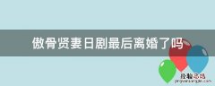 日版傲骨贤妻为什么离婚 傲骨贤妻日剧最后离婚了吗