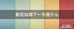 繁花似锦下一句是什么 繁花似锦下一句