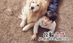 梦到两条狗 梦见两条狗是什么意思