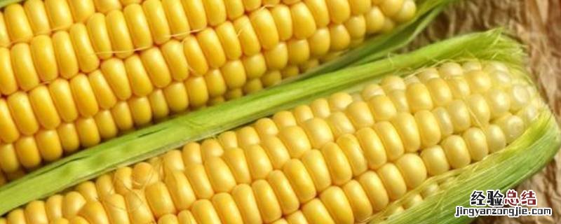 白玉米和黄玉米的区别 白玉米跟黄玉米的区别