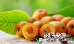 梦见摘枇杷是什么意思? 梦见摘枇杷是什么意思