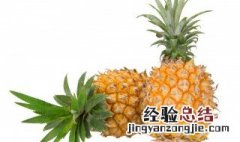 菠萝怎样瓜皮 菠萝皮怎么削皮