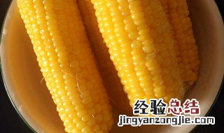 玉米煮多久就熟了 怎么判断玉米熟了没