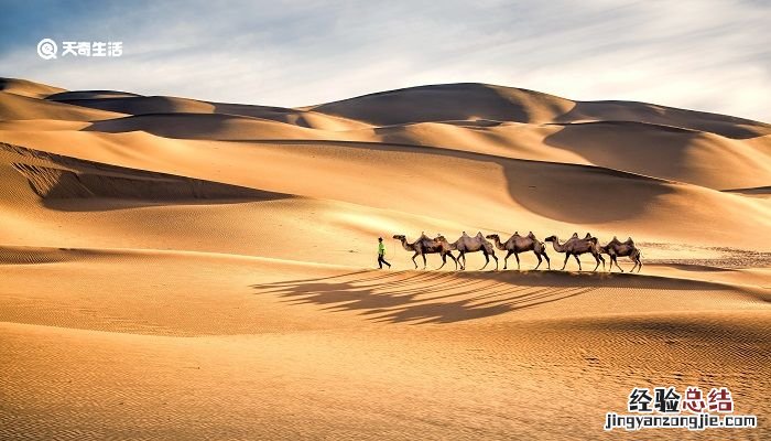 骆驼和马的故事告诉我们什么道理 骆驼和马的故事说明了什么
