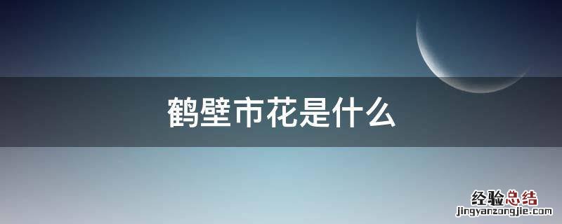 鹤壁市花是什么 鹤壁市花是什么花