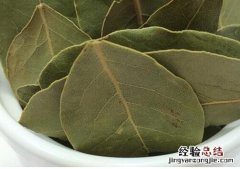 香叶的营养价值 香叶营养成分