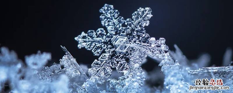 雪象征着什么样的人 雪象征着什么人
