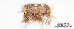 人工人参和野生人参的区别 野生人参与人工人参的区别