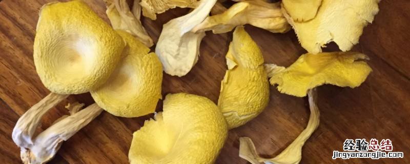 黄色的菌类是什么菌 常见黄颜色菌类