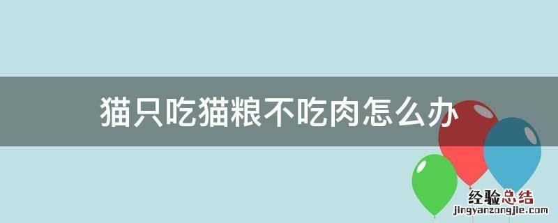 猫只吃猫粮不吃肉怎么办 猫不吃猫粮只吃肉怎么办?