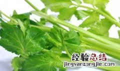 芹菜的功效与作用及营养价值 芹菜的功效与作用