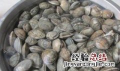 花蛤怎么洗才干净快速 花蛤怎么洗最快最干净