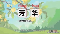 芳华的意思 翩翩少年初长成 鲜衣怒马正芳华的意思