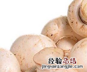 口蘑的功效与作用图片 口蘑的功效与作用