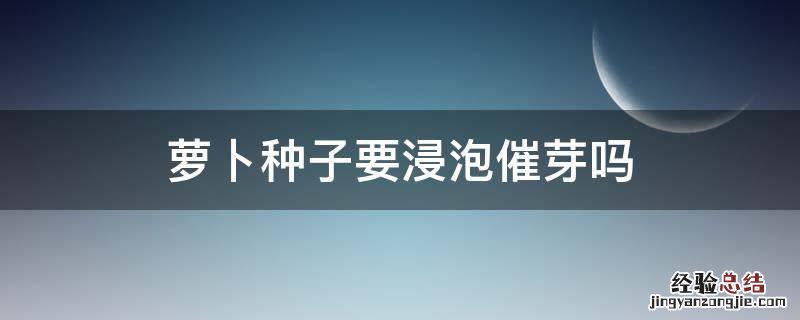 胡萝卜种子要浸泡催芽吗 萝卜种子要浸泡催芽吗
