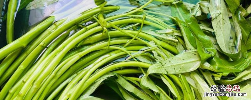 空心菜水里的种植方法，种植多久可以采收