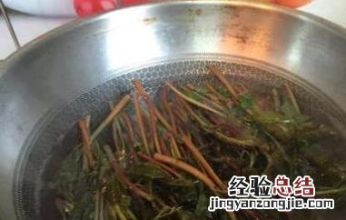香椿叶煮水的功效与作用及禁忌 香椿叶煮水的功效与作用