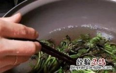 老香椿叶泡水喝的功效与作用及禁忌 老香椿叶泡水喝的功效与作用