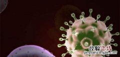 唾液会传染艾滋病吗 汗液和唾液会传染艾滋病吗