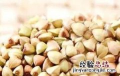 黑荞麦和白荞麦的区别 黑荞麦和白荞麦有什么区别