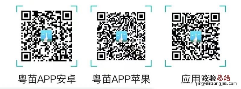 2023顺德均安九价疫苗最新预约通知 2023顺德均安九价疫苗最新预约通知图片