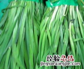 春天吃韭菜的好处有哪些 春天吃韭菜好吗