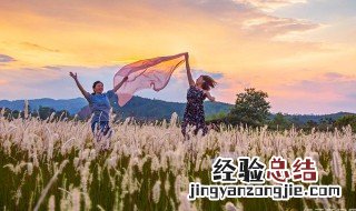 我心飞扬是什么意思 我心飞扬具体是什么意思