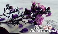 初中英语阅读的重要性 英语阅读的重要性