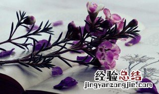 初中英语阅读的重要性 英语阅读的重要性