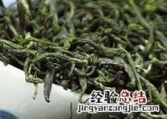 毛尖属于什么茶 毛尖属于什么茶红茶绿茶白茶