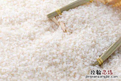 米里有很多黑虫子怎么处理 米里有很多黑虫子叫什么