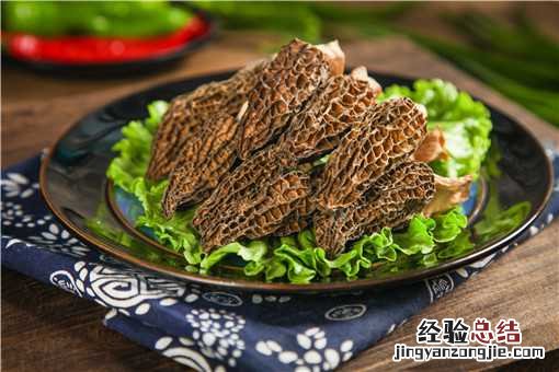 什么地方适合种羊肚菌 种植羊肚菌需要注意的地方有哪些