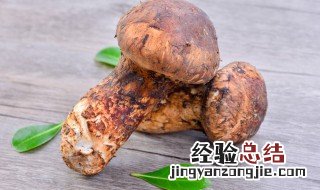 冷冻松茸怎么做 冷冻松茸怎么做汤