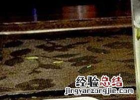 都匀毛尖茶的介绍 都匀毛尖茶的功效和泡法