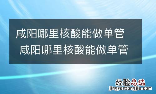 咸阳哪里核酸能做单管 咸阳哪里核酸能做单管核酸检测