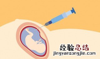 羊水穿刺是什么 羊水穿刺是什么时候发明的